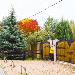 Ландшафтный дизайн в стиле Кантри фото